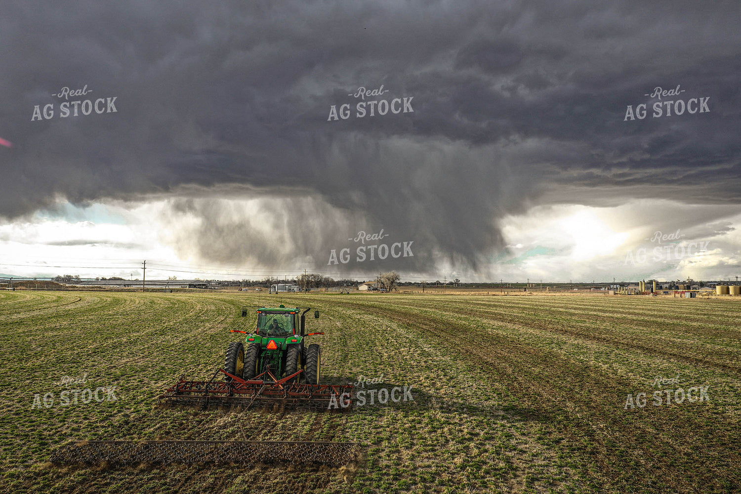Rain on Irrigated Pasture 56004