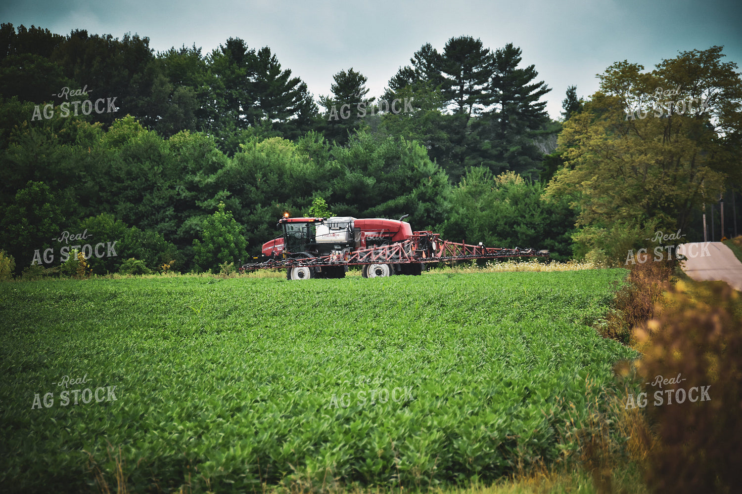 Spraying Soybeans 84115