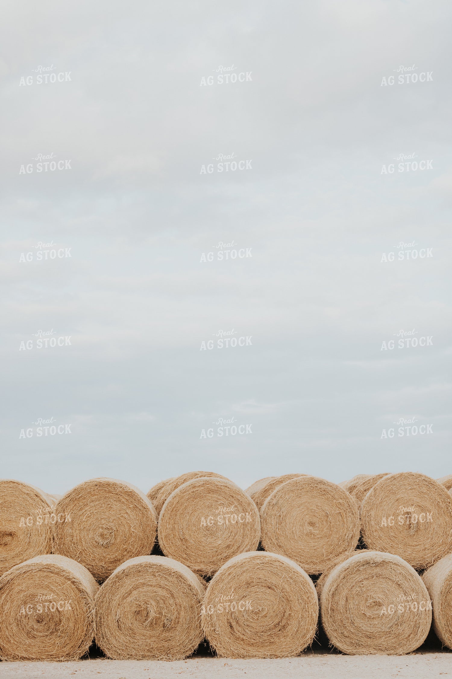 Round Hay Bales 254002