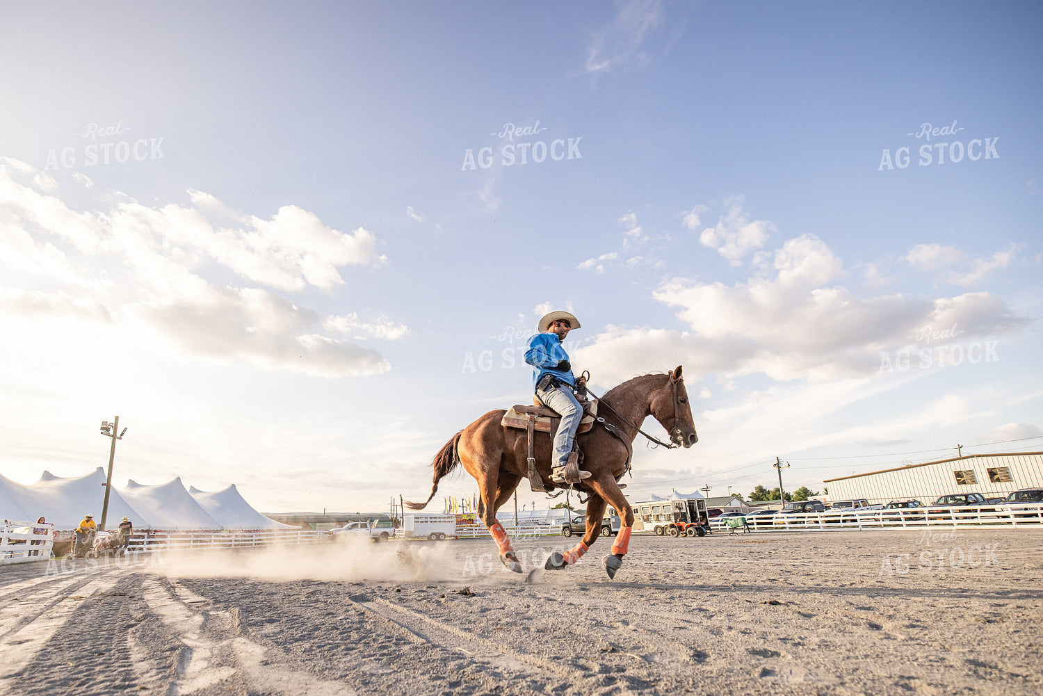 Equine Roping Show 270109