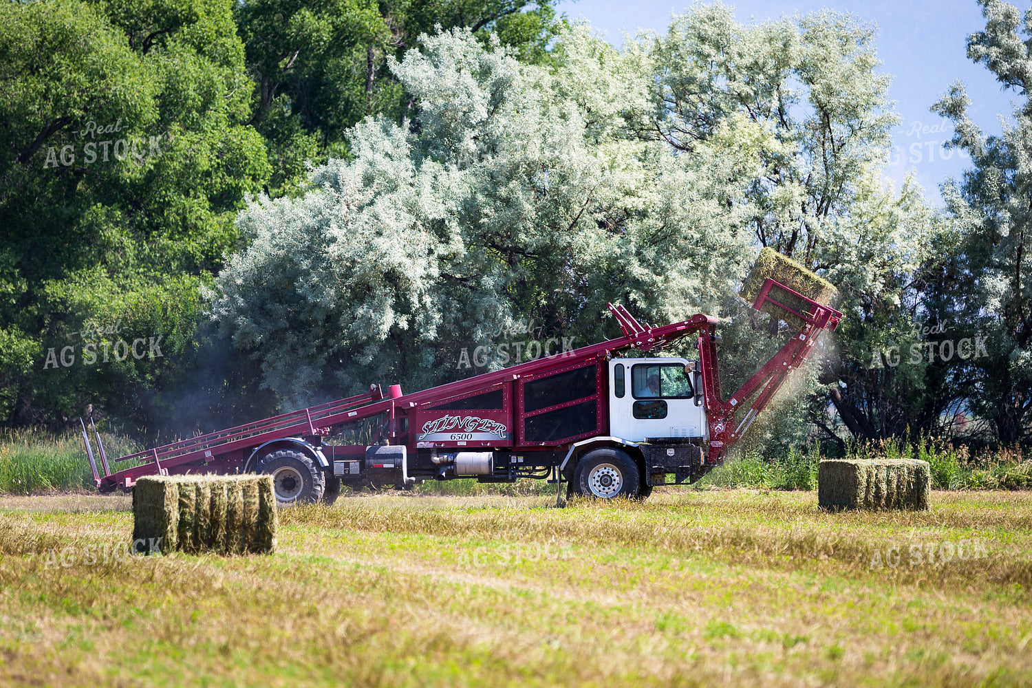 Picking Up Bales 81155