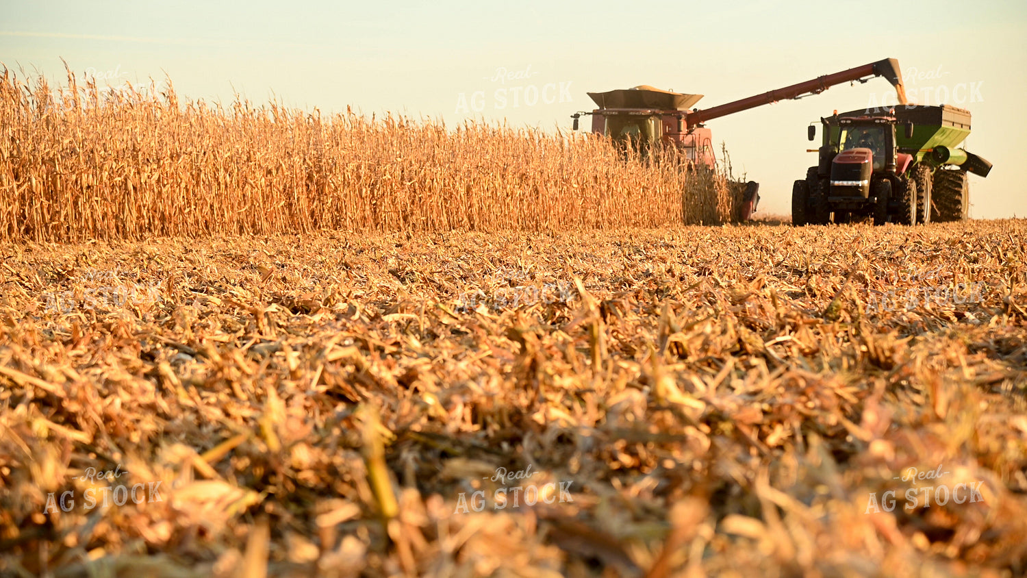 Combine Unloading Corn on the go into an Auger Wagon 25782