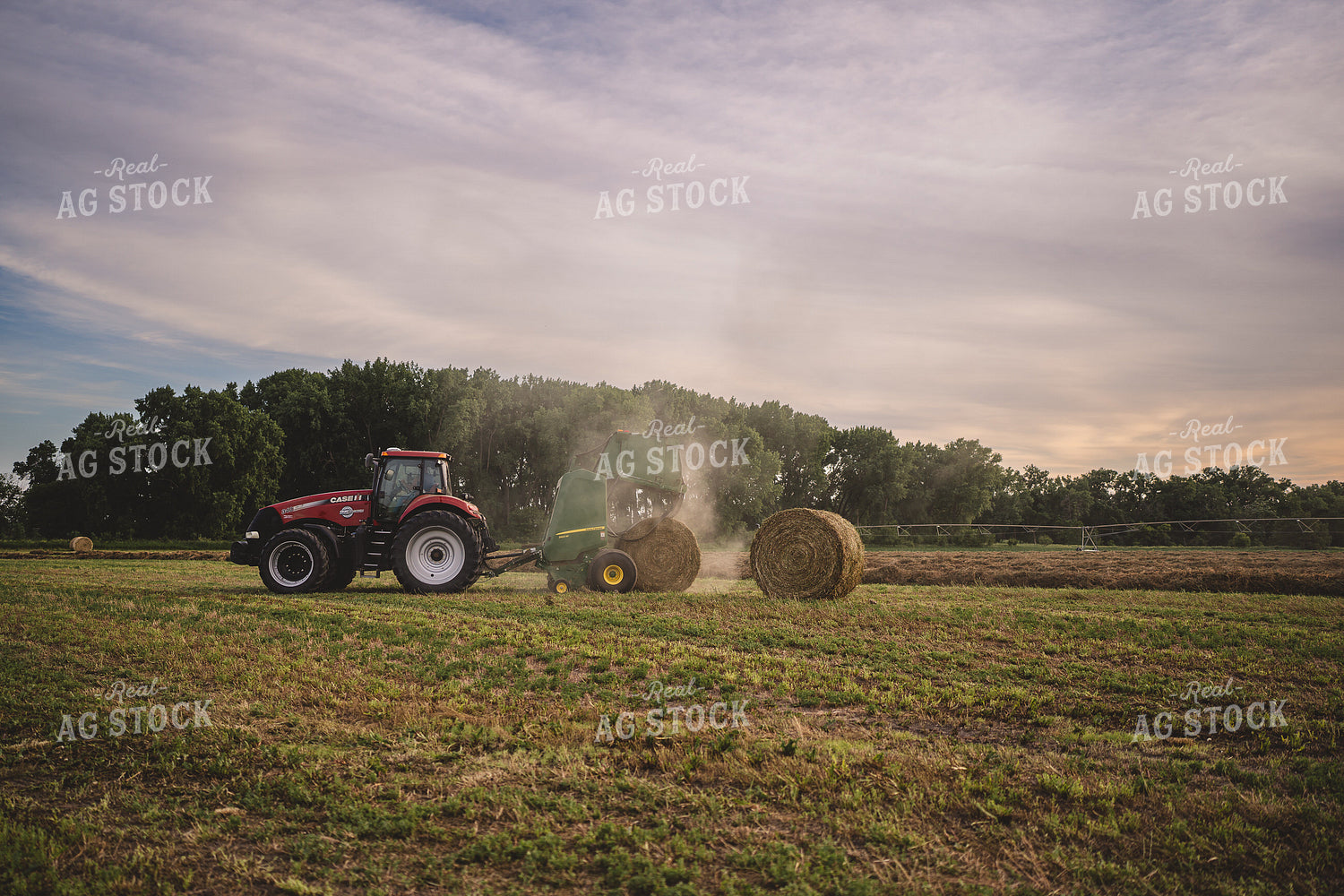 Baling Hay 196052