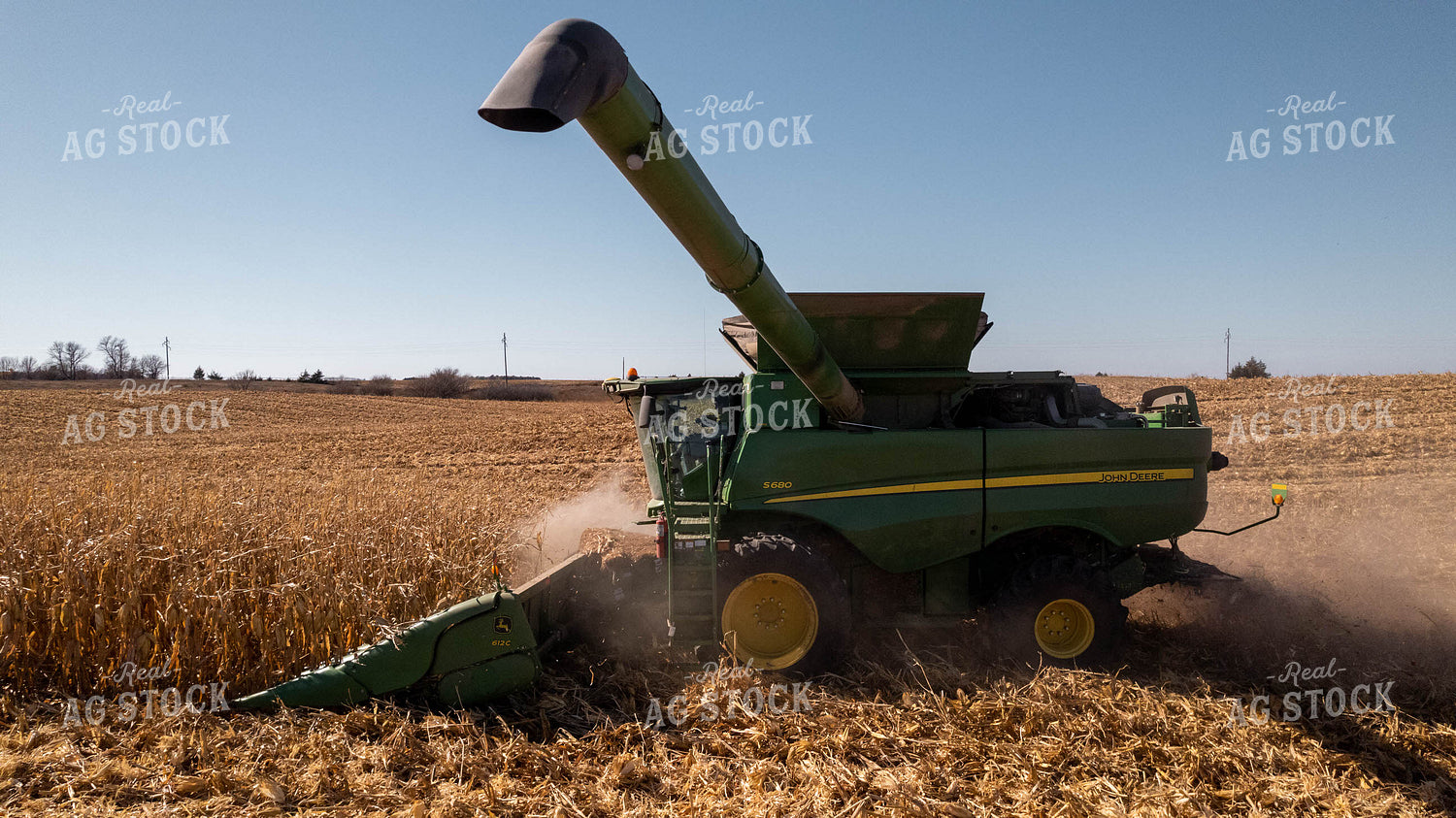 Corn Harvest 114009