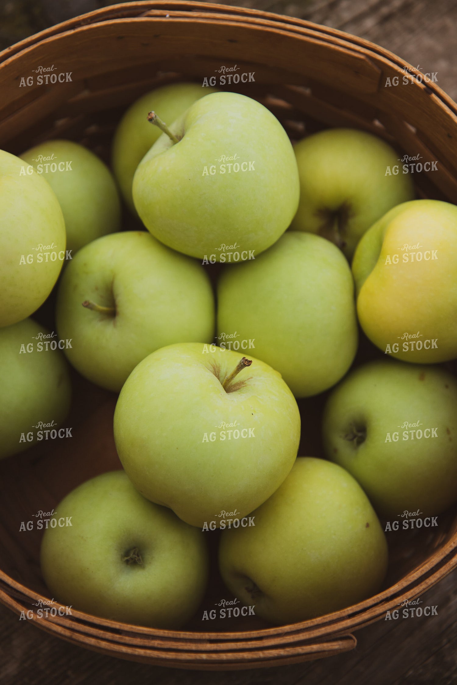 Apples 67839