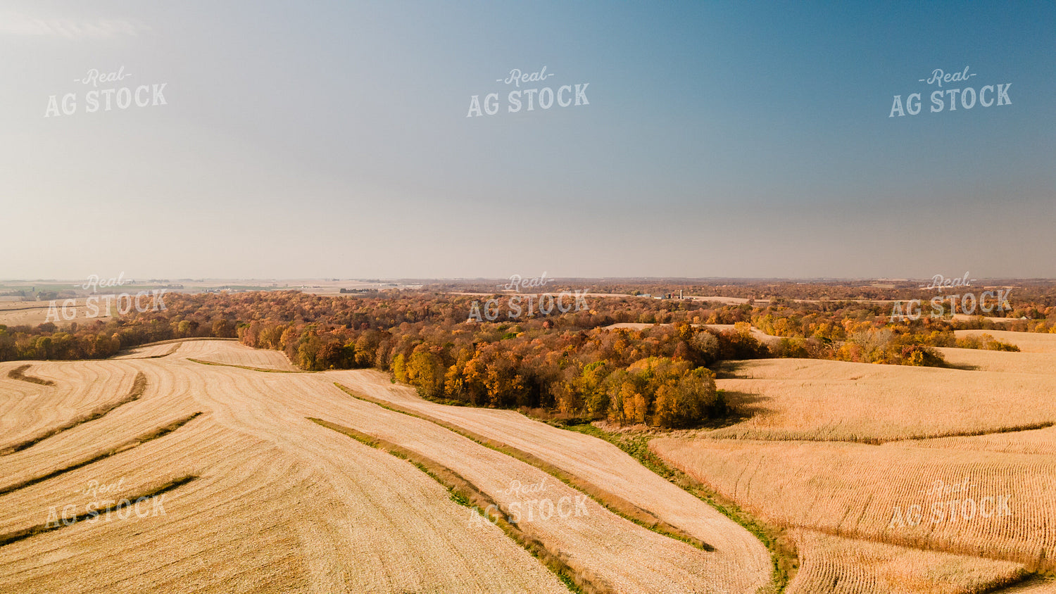 Rural Harvest Scene 9516