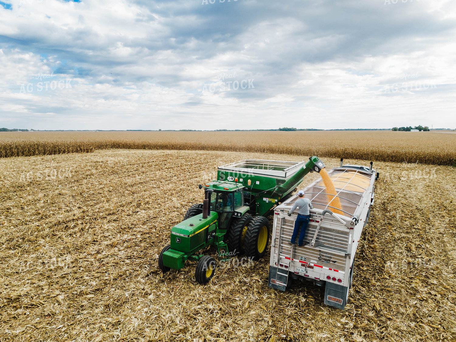Corn Harvest 115103