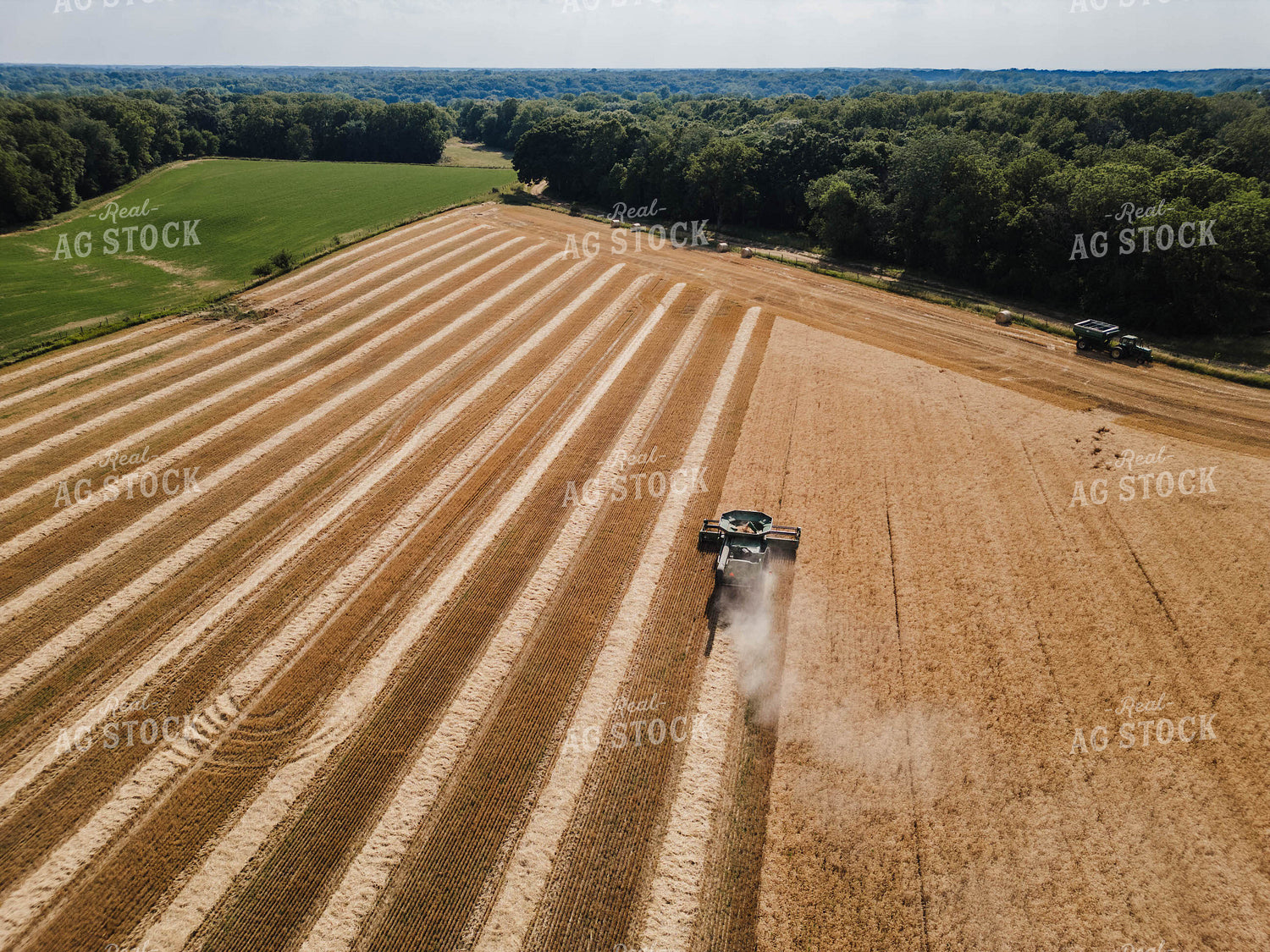 Aerial of Wheat Harvest 115316