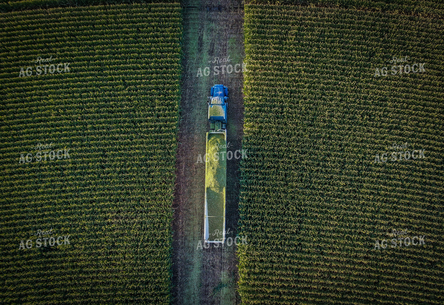 Silage Harvest Drone 56239