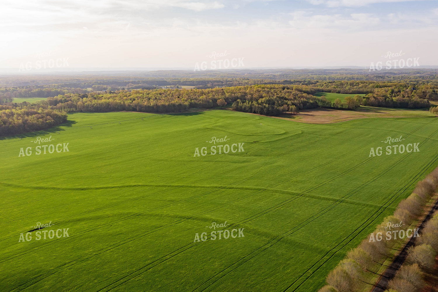 Aerial View of Farmland 79251