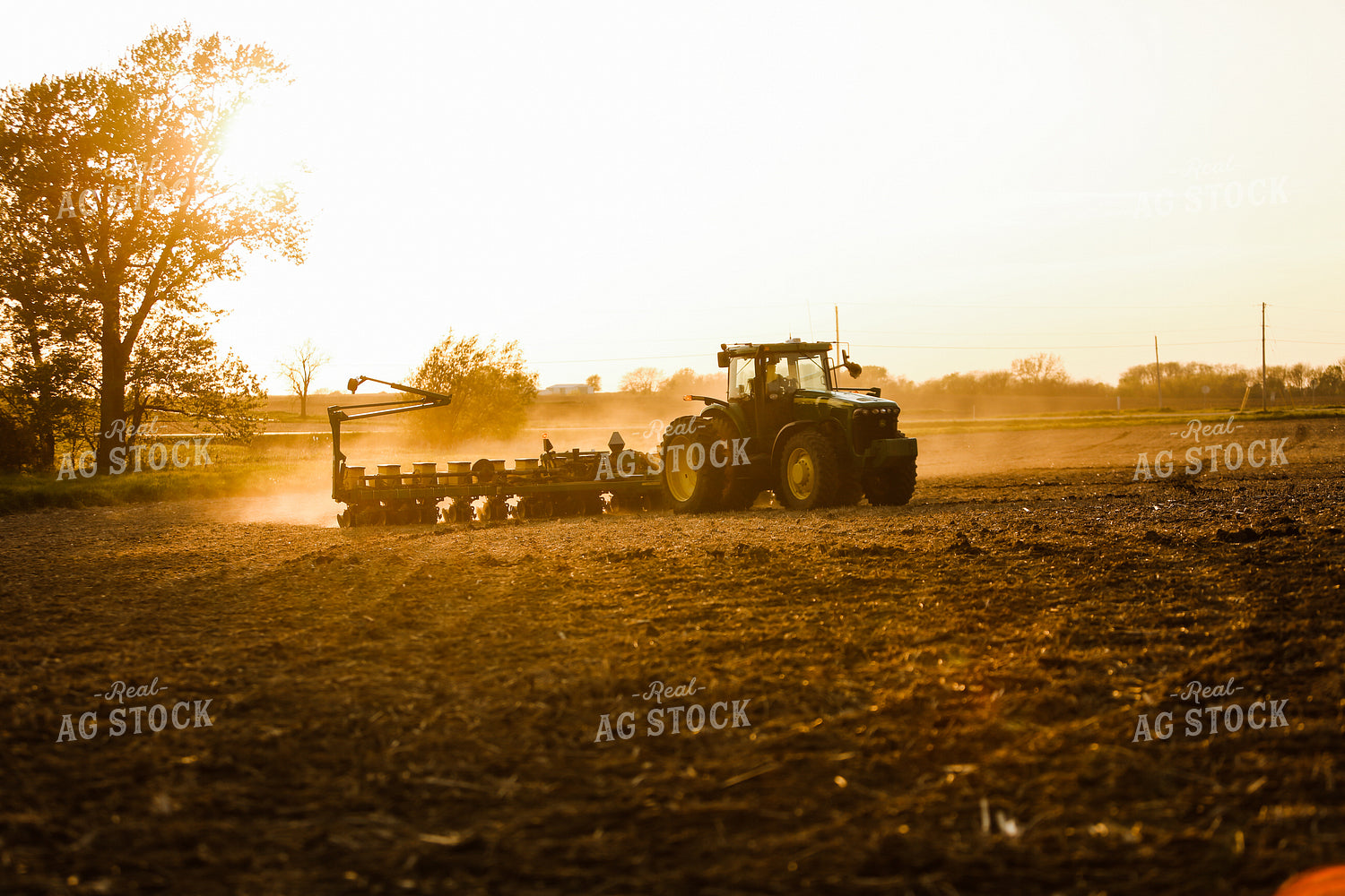 Planting 2875