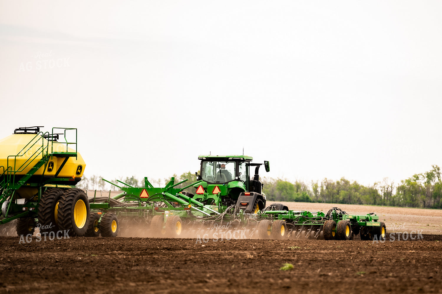 Planting 185218