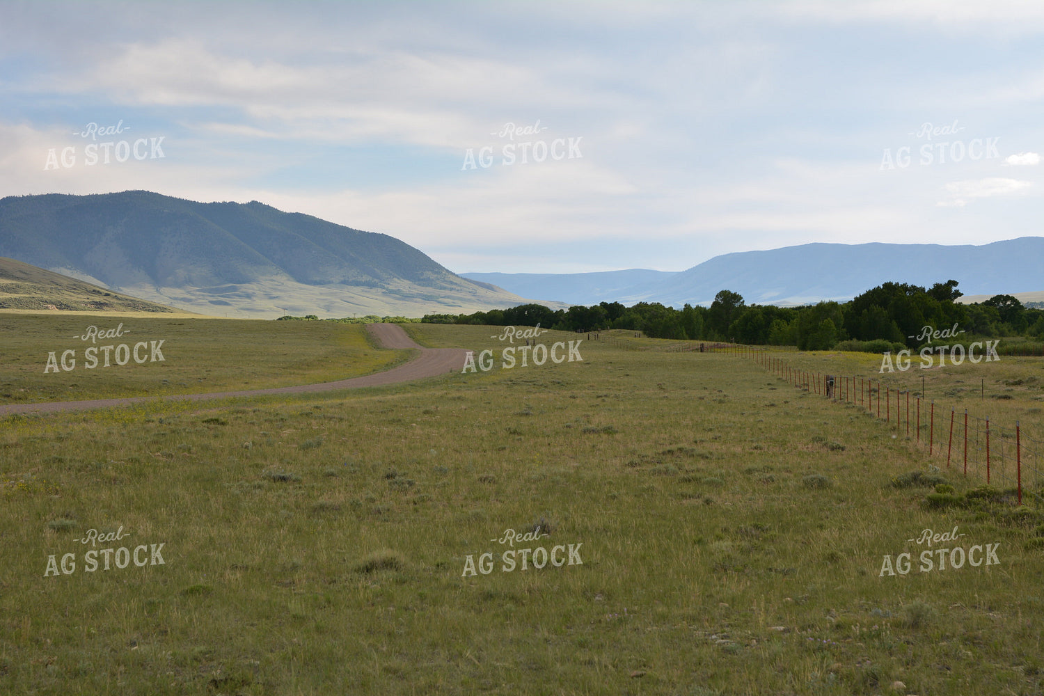 Mountain Landscape 198012