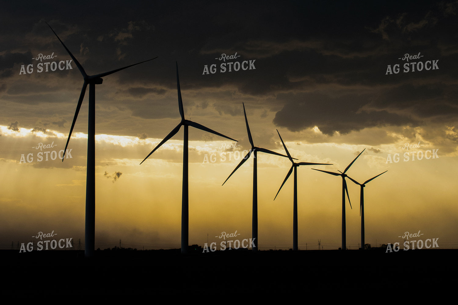 Windmill Silhouette 50045
