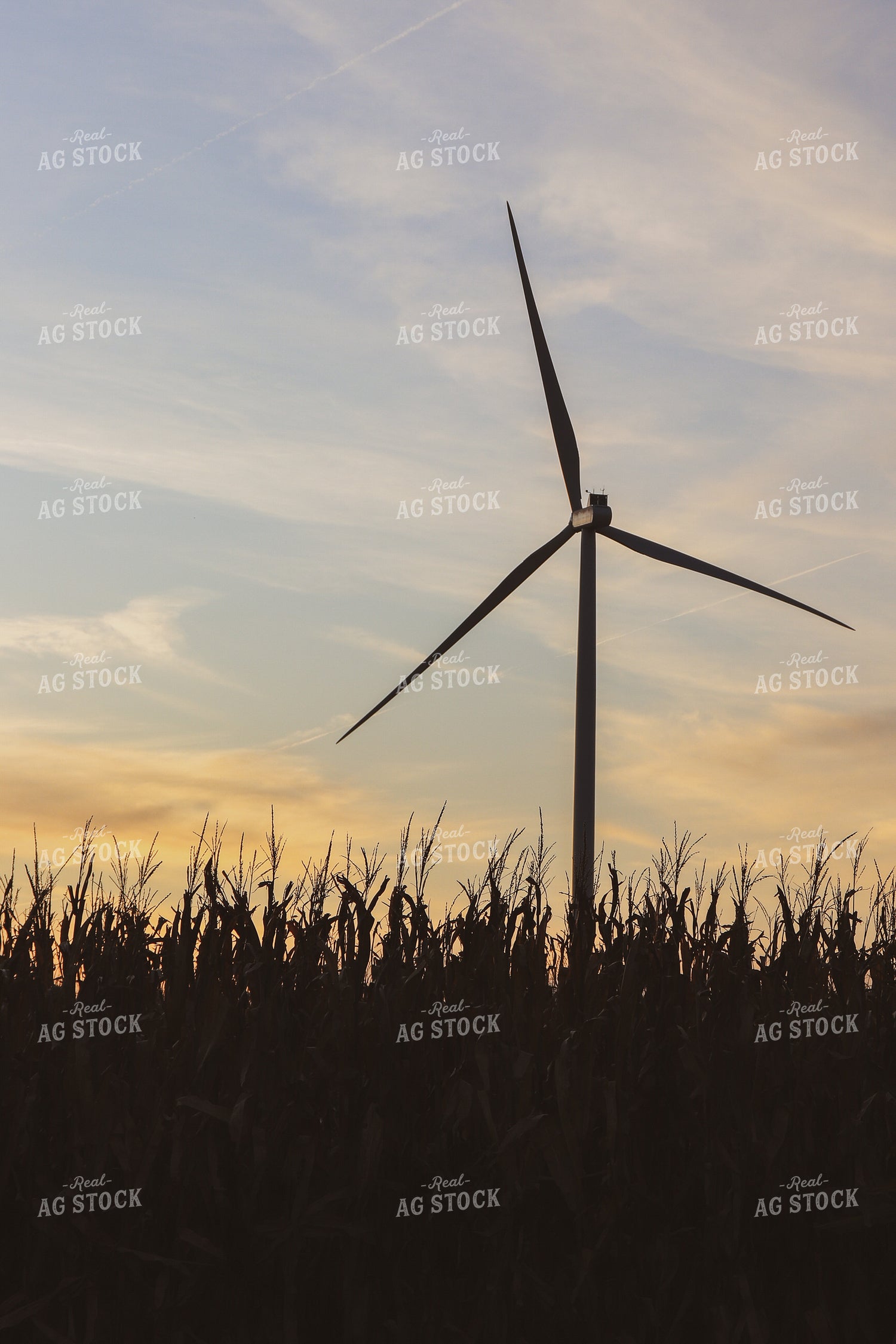 Corn and Windmill Silhouette 67015