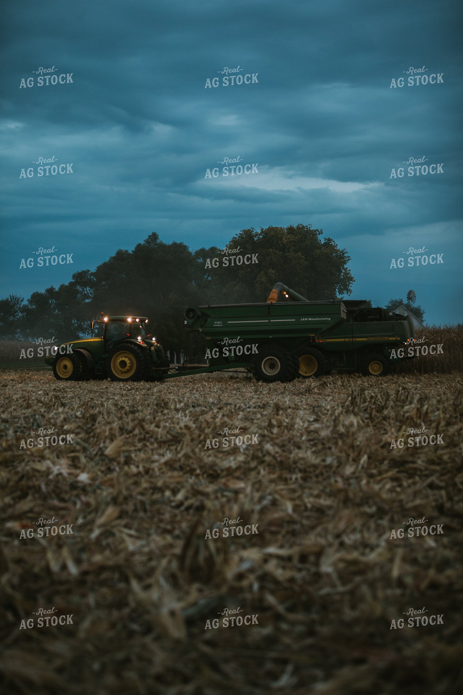 Corn Harvest 6710