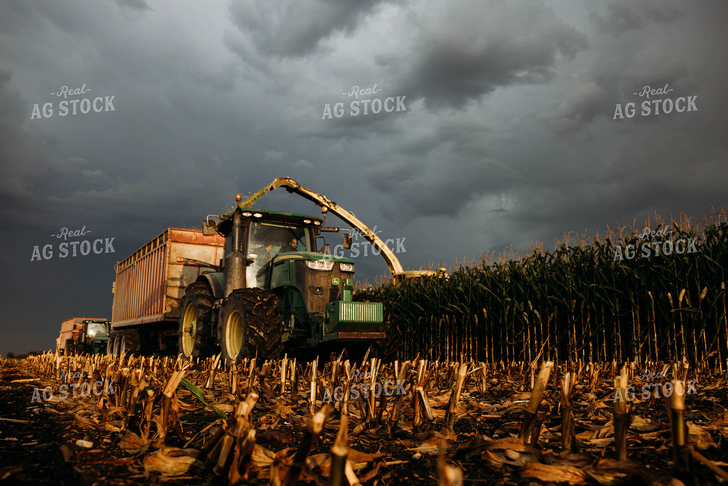 Chopping Corn Silage 152039