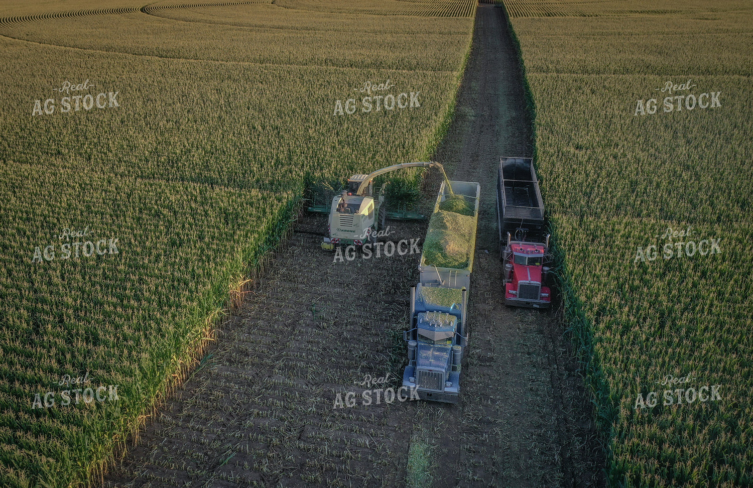 Silage Harvest Drone 56240
