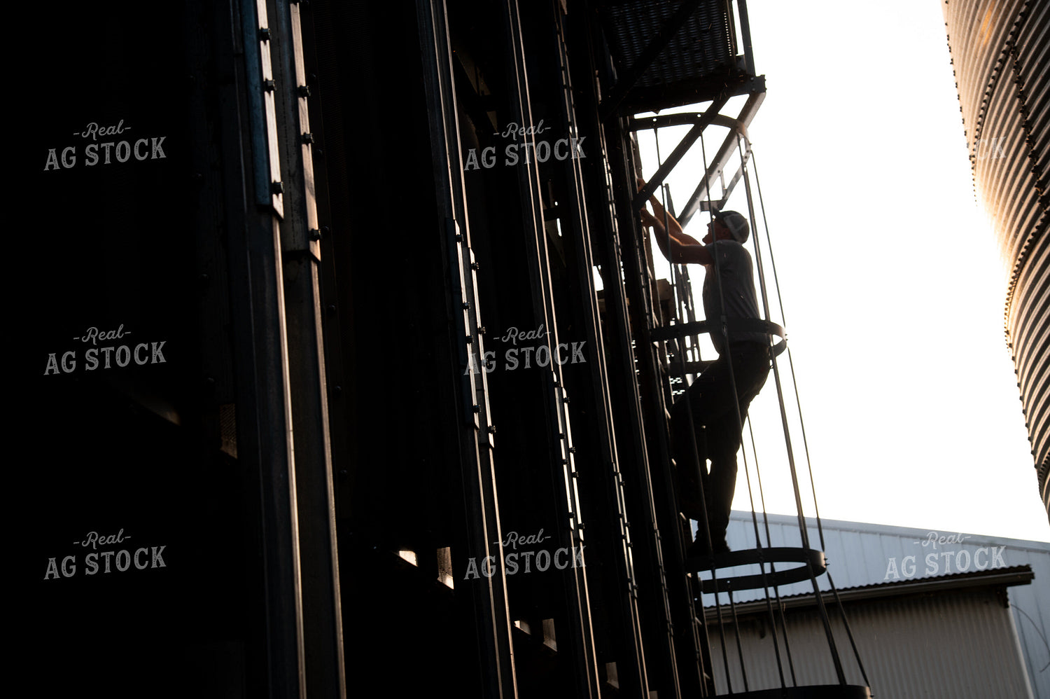 Farmer Climbing Dryer for On-farm Storage 25470