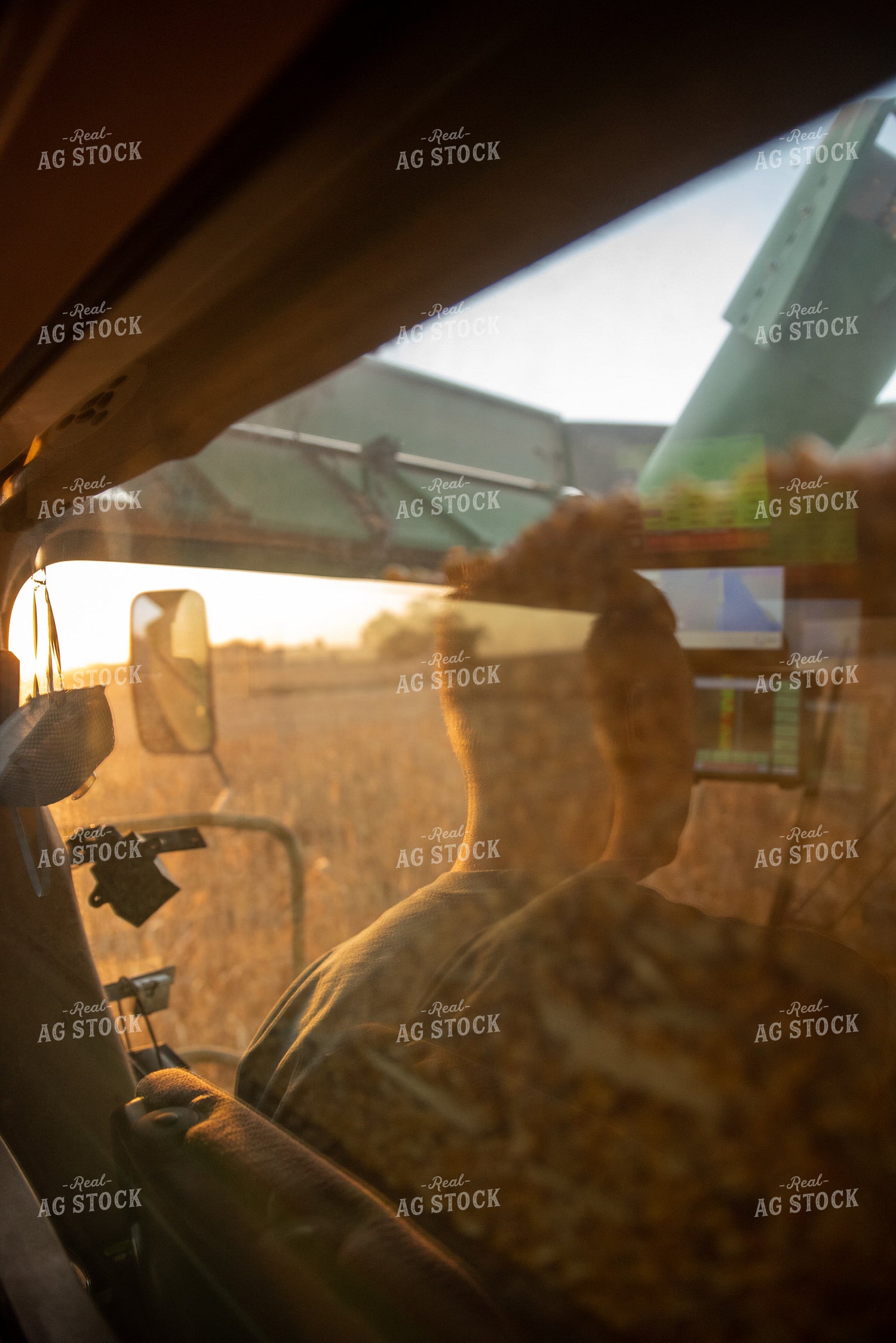 Combine Filling Up With Corn 76362