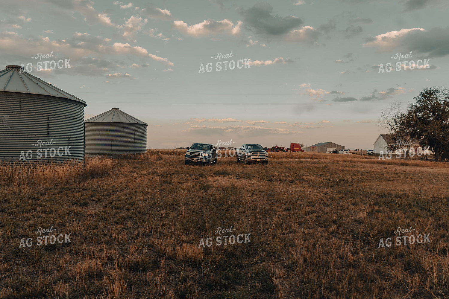 Trucks on Ranch 58187