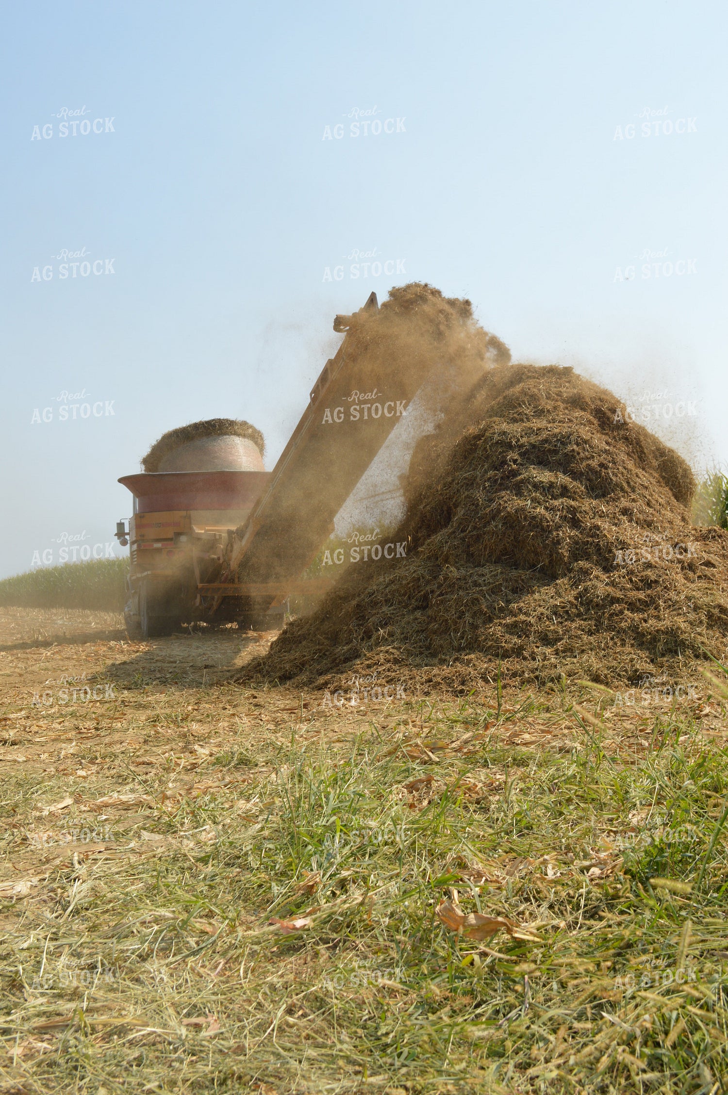 Grinding Hay 206061