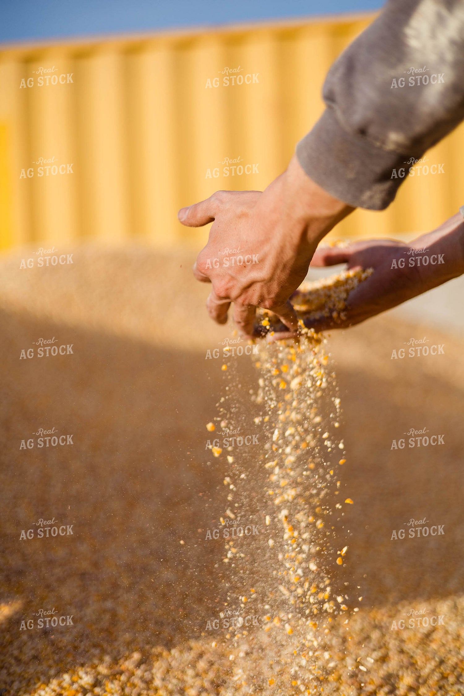 Livestock Feed Ingredients 97252