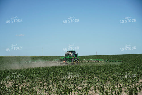 Sprayer in Corn Field 65026