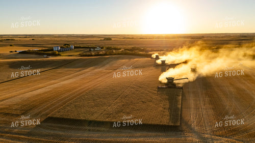 Wheat Harvest 187333