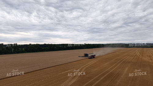 Aerial of Wheat Harvest 115982