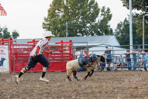 Rodeo 295197