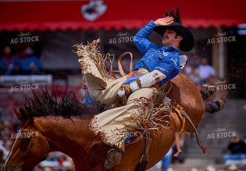 Saddle Bronc Riding 177010