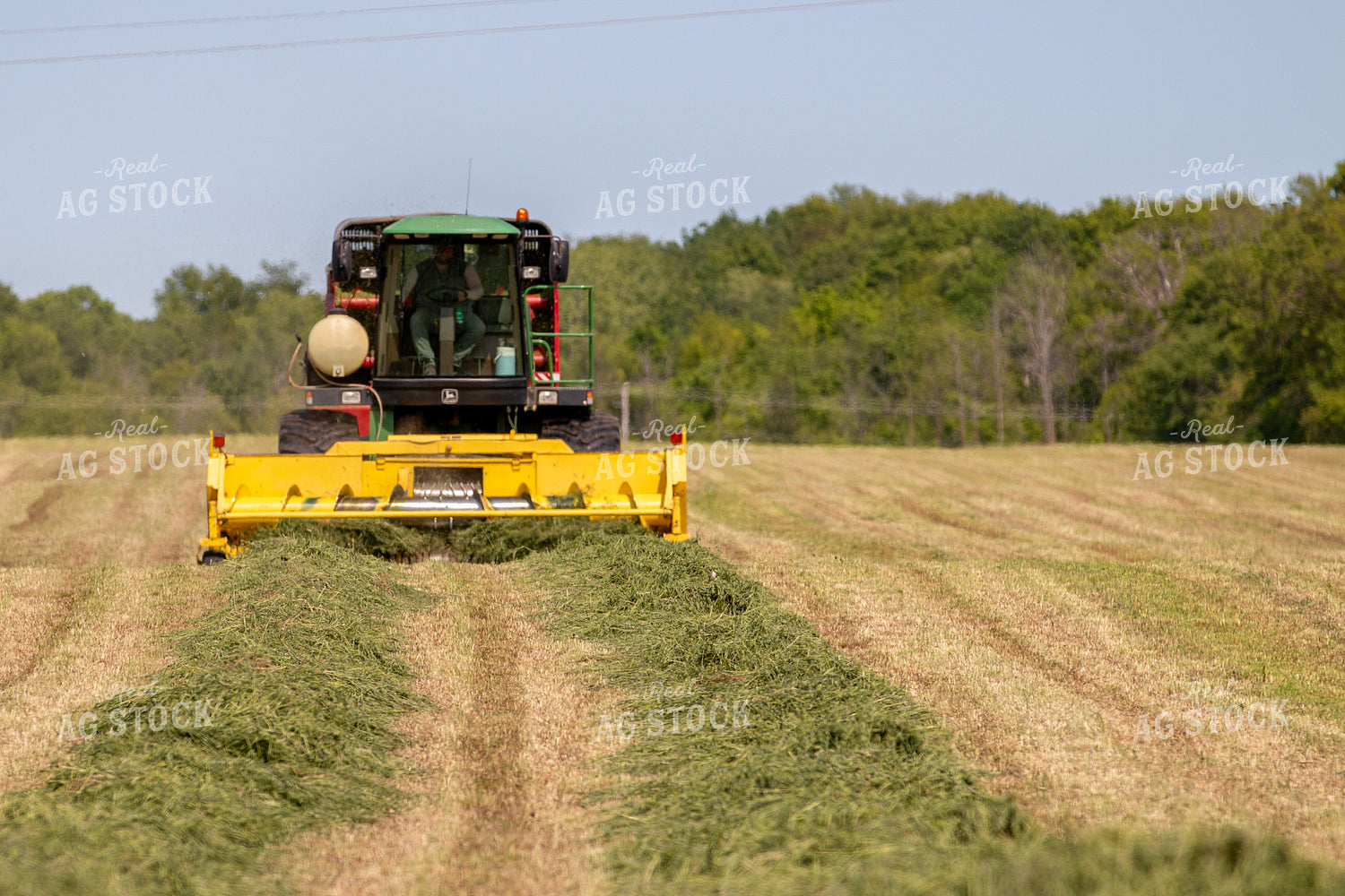 Self-Propelled Forage Harvester 157334