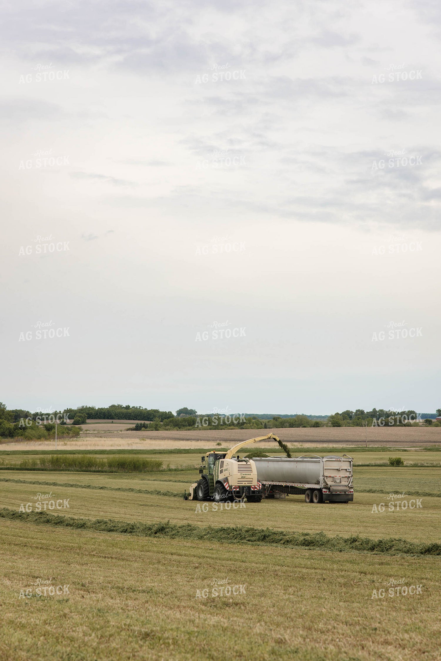 Harvesting Haylage 152805