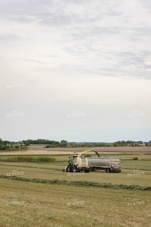 Harvesting Haylage 152805