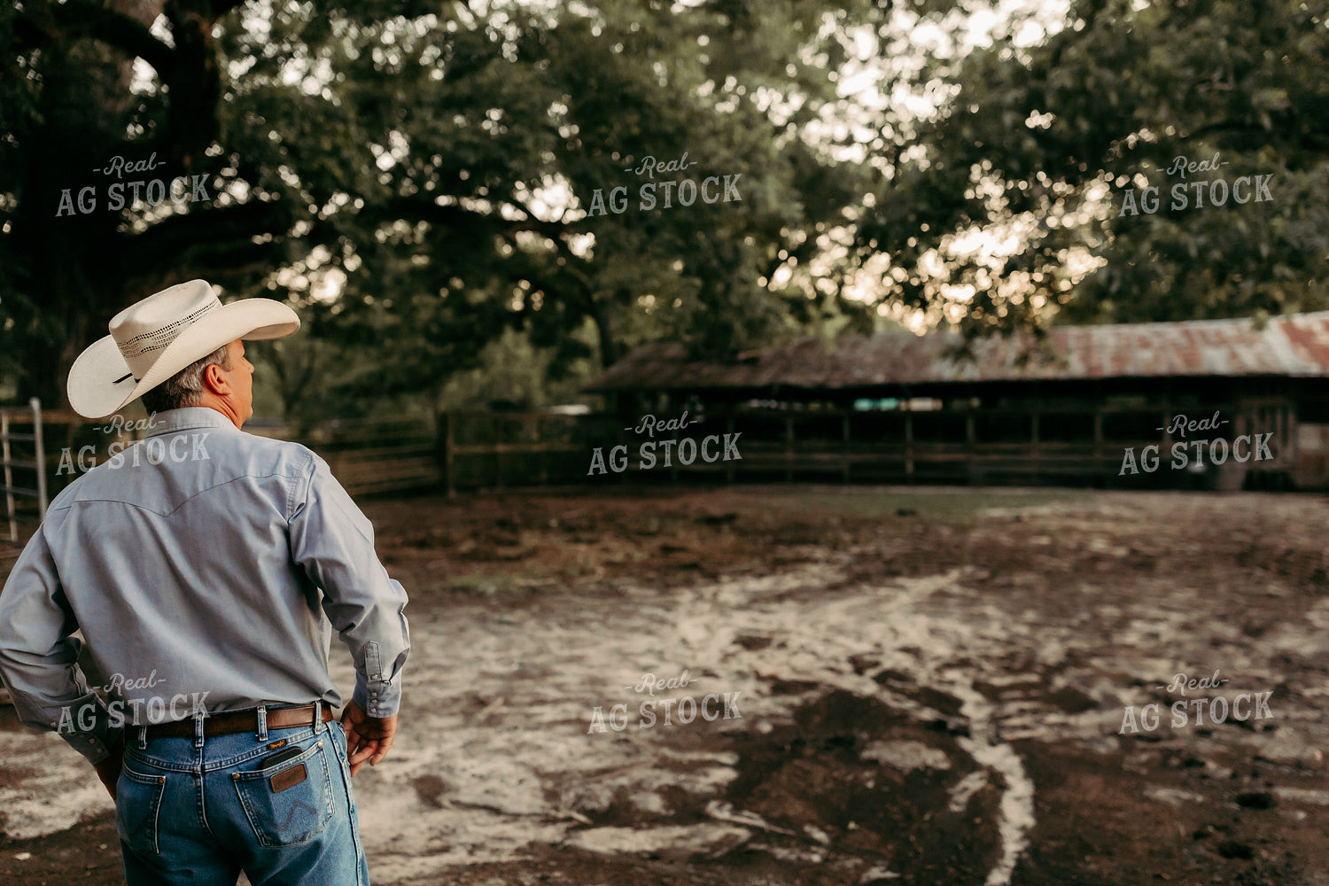 Rancher 203012