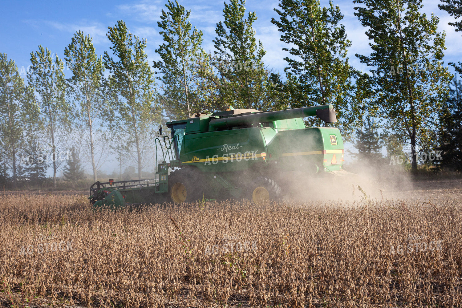 Soybean Harvest 132234