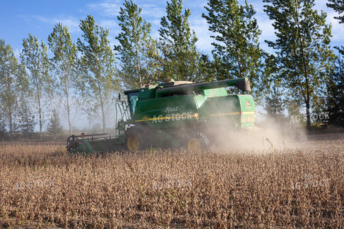 Soybean Harvest 132234