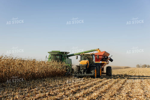 Corn Harvest 152637