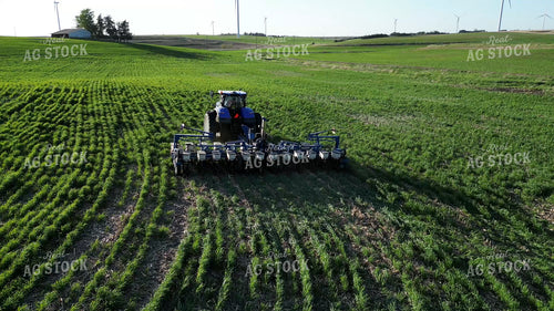 Planting into Cover Crop 268307