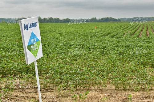 Field Sign in Soybean Field 84024