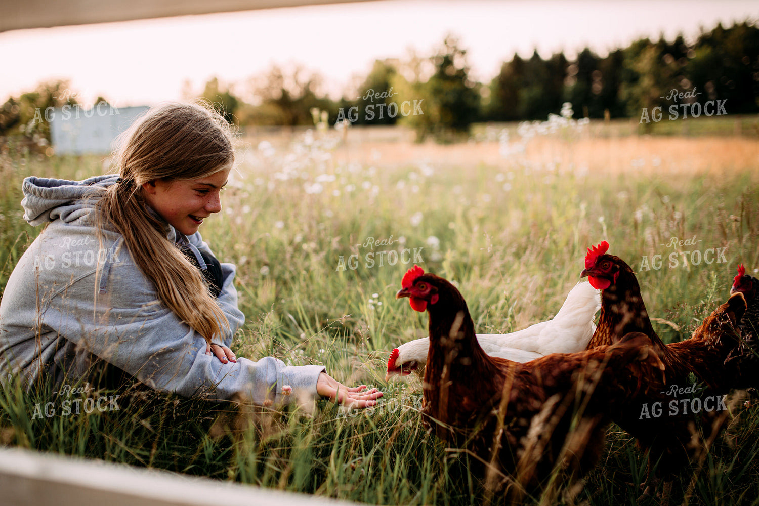 Farm Kid with Chicken 169050