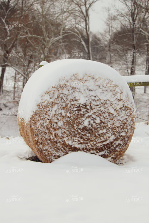 Snow Covered Round Hay Bale 52069