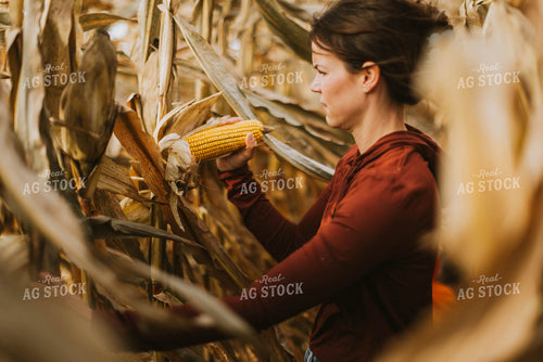 Female Farmer Checking Corn 8509