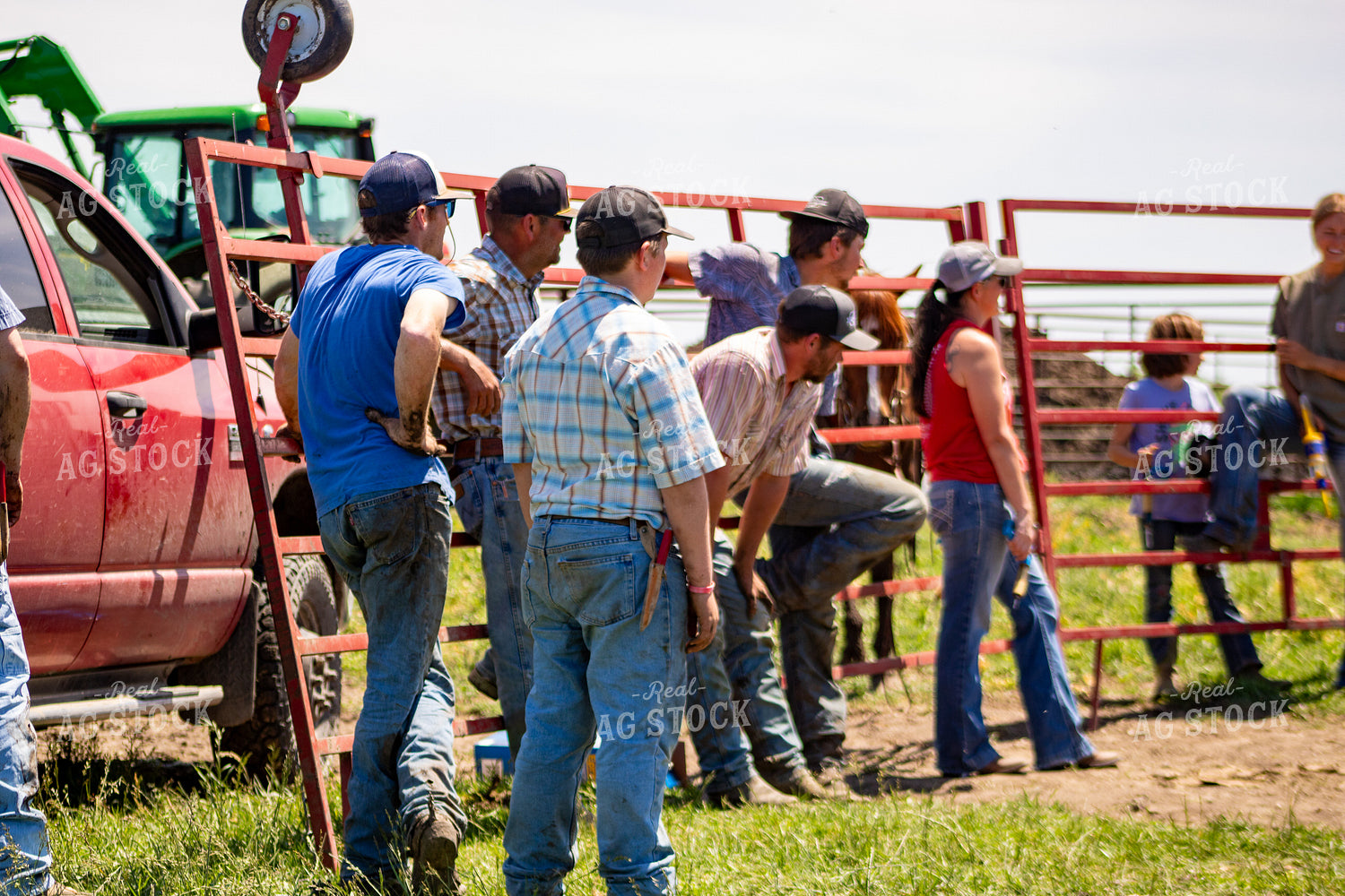 Crew Ready to Help Work Cattle 214307