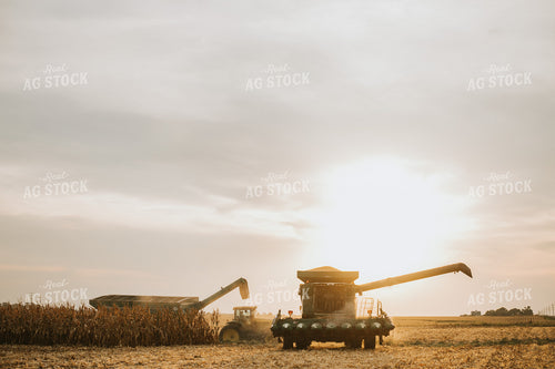 Combine and Auger Cart Harvesting Corn Field 5261