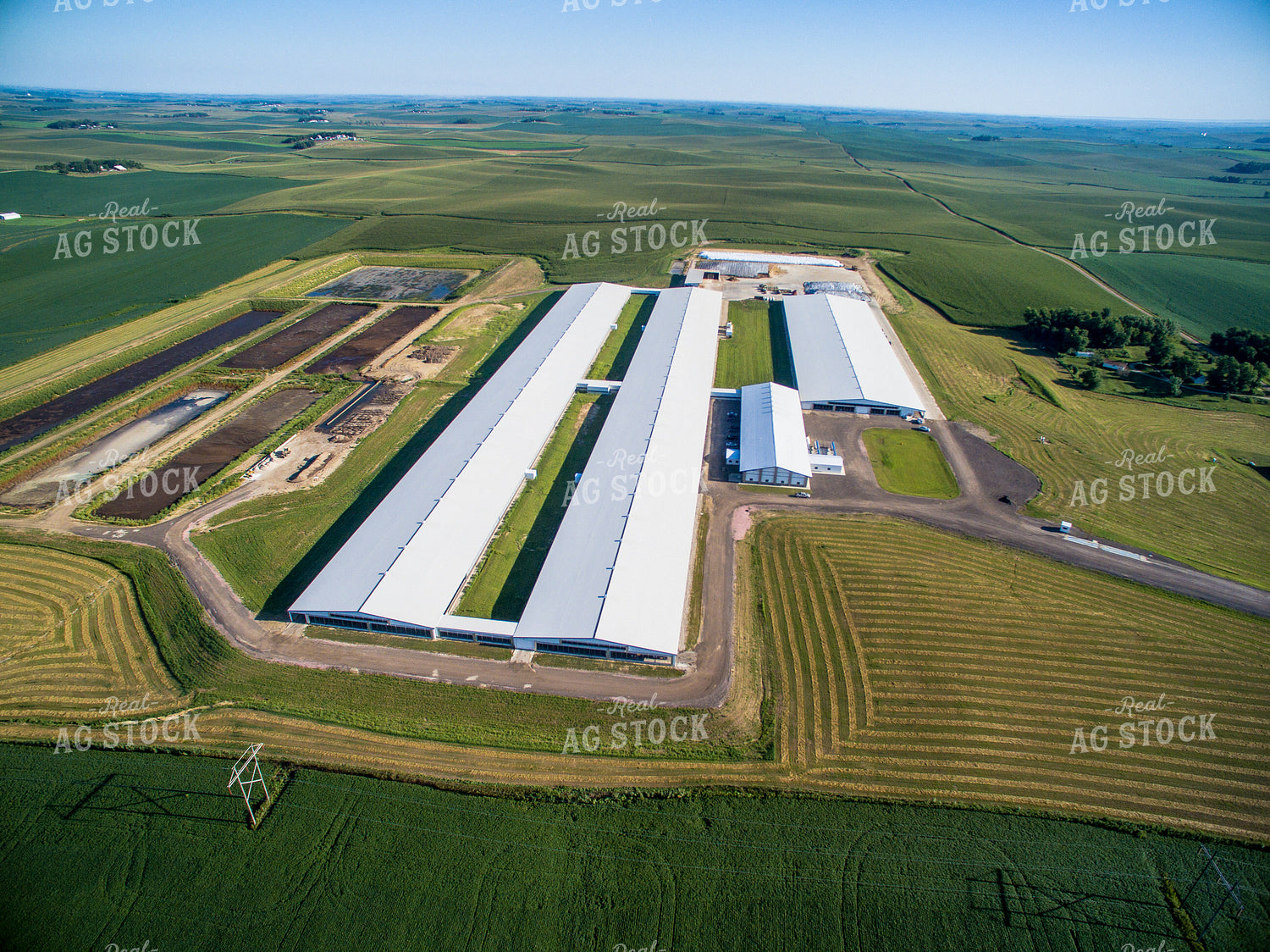 Aerial of Cattle Barns 250110