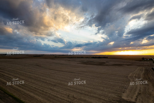 Harvested Fields 65968