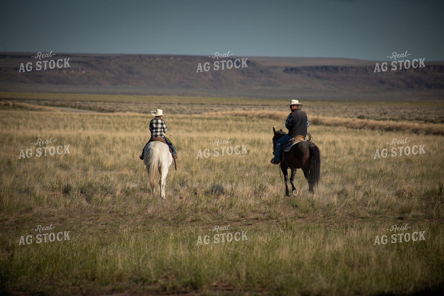 Rancher and Ranch Kid on Horseback 78191