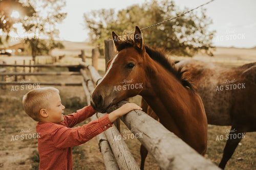 Farm Kid with Horse 61249